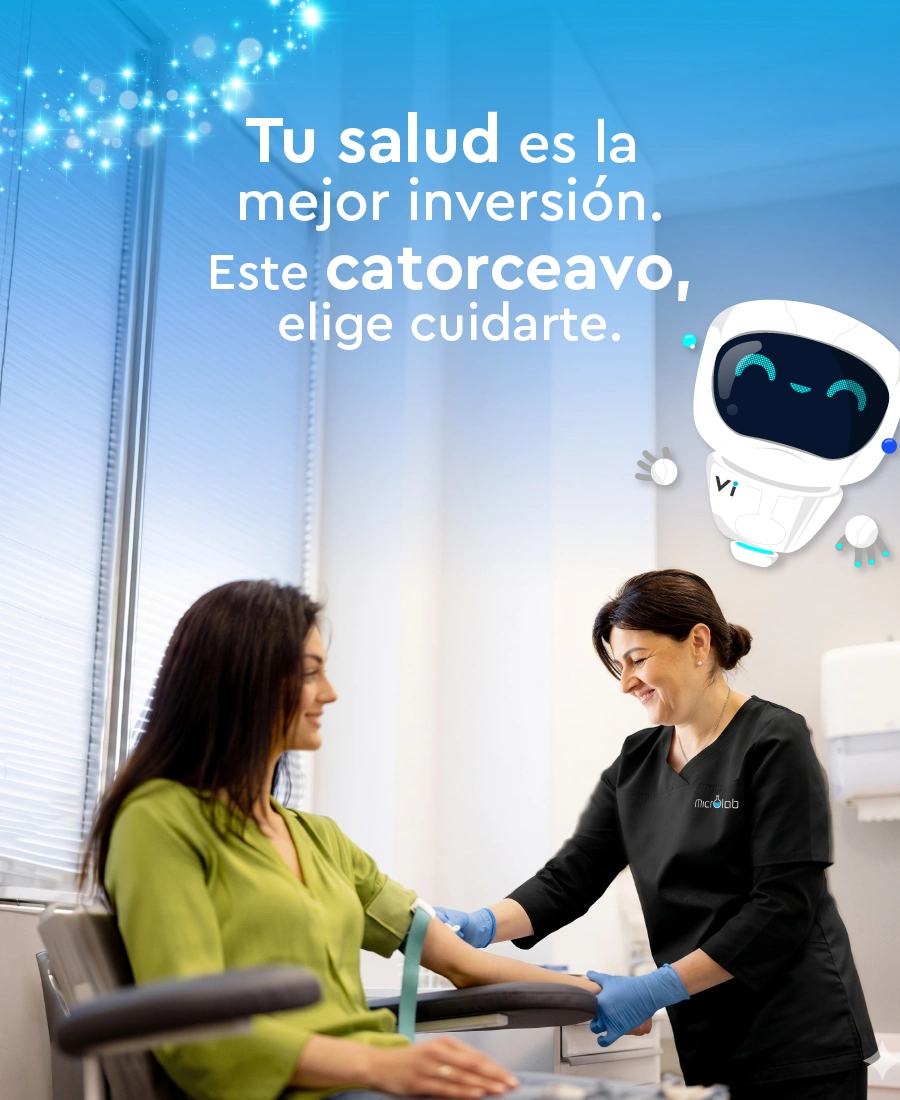 catorceavo_mv